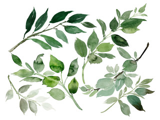 Watercolor composition with green branches on a white background
