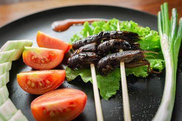 Fried Crickets, Insect food in the skewer on a brown plate. Closeup, Selective focus.