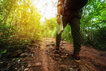 close up hiking man with trekking boots walking in the forest