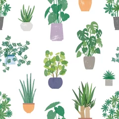 Wallpaper murals Plants in pots Home plants in ceramic pots vector seamless pattern. Domestic flowers colorful texture. Exotic houseplants in flowerpots color drawing. Creative textile, wallpaper, wrapping paper design.