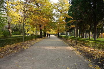 Naklejka premium Autumn