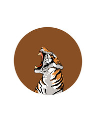 tiger