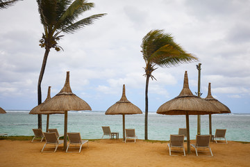 white sand, umbrellas and palm trees on the beach of Mauritius