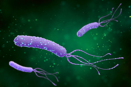Illustration of Helicobacter pylori bacteria on an abstract green background. Medical concept.