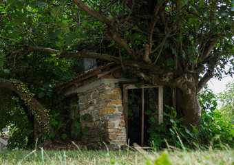 Fototapeta na wymiar Foto scattata ad un vecchio ricovero attrezzi a Cantalupo Ligure.