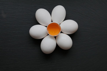 Kreative Fotografie,  Blume, Küche, Eier 
