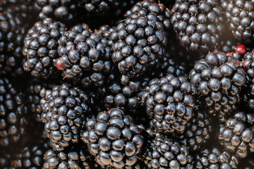 blackberry fruit  blackberries. Background of blackberry fruit. Texture of black berry. Vegetarian natural food. Vitamins.