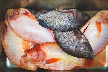 Close up of fresh fish grouped together on market stall