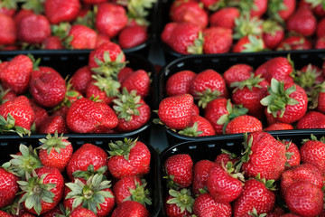 Natural organic strawberries in boxes at a farmers market 