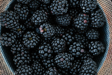 colander net with washed black berries of a blackberry on a light background. 
