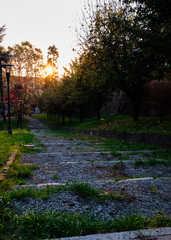 Foto scattata all'interno del Parco del Castello in Acqui Terme.