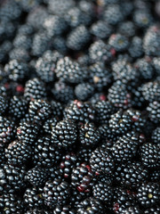 blackberry fruit  blackberries. Background of blackberry fruit. Texture of black berry. Vegetarian natural food. Vitamins.