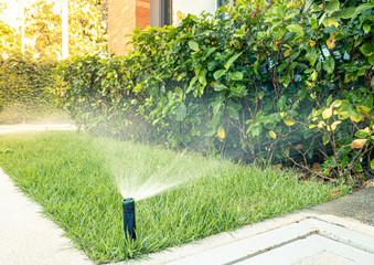 Automatic sprinkler system watering in the garden