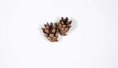 Cones with Christmas tree on a white background