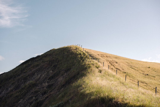 Golden grass covered hillside