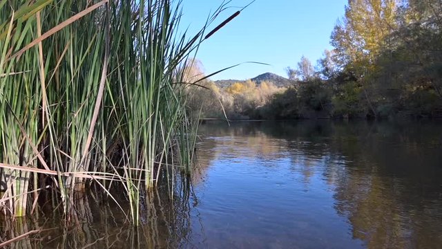 landscape of a trout river in autumn