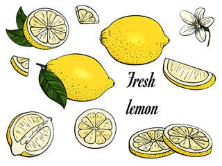 Lemon. Set yellow citrus. Fresh fruits. Whole lime, slice, cut pieces, flower, plant leaves. Drawn freehand sketch. Colorful vector illustration isolated on a white background. Design elements. 