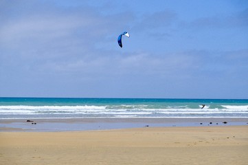 Obraz premium water, sea, background, ocean, nature, blue, summer, wave, travel, vacation, surface, tropical, marine, clear, natural, aqua, landscape, texture, holiday, ripple, underwater, sky, abstract, turquoise,