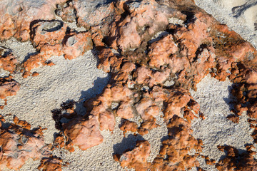 The structure of the stone from a beach in Cuba.     Horizontally.