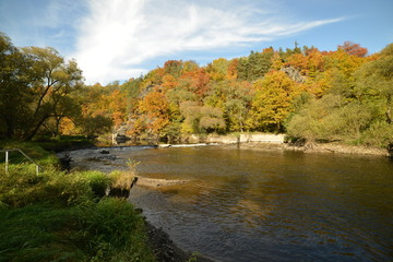 river and old weir in forest in autumn