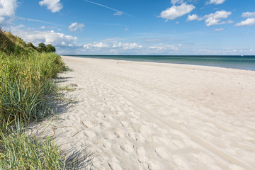Beautiful white beach with green seagrass at the Baltic Sea in Northern Germany