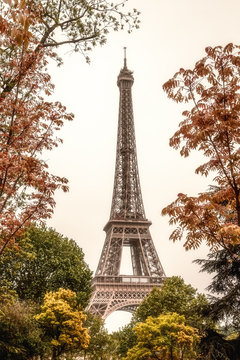 Eiffel tower, classic soft focus, natural trees framing. Paris, France.