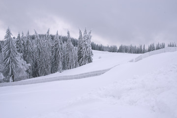 Winter landscape with mountains and frozen pine trees, fence, snowy meadows, cloudy sky