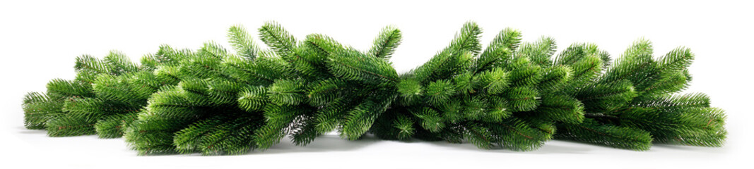 Natural fir Christmas tree branches