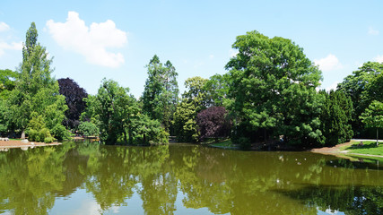 Pond in the central park of Vienna