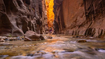 Zelfklevend Fotobehang Geweldig landschap van canyon in Zion National Park, The Narrow © f11photo