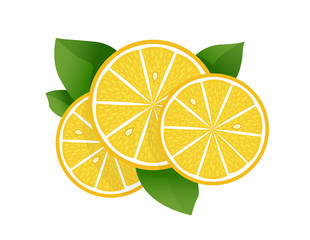 Lemon slice vector illustration on white background. Fresh sour lemon icon. Logo design
