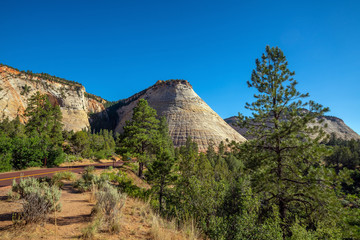 Fototapeta na wymiar Mountain in the famous Zion National Park in Utah