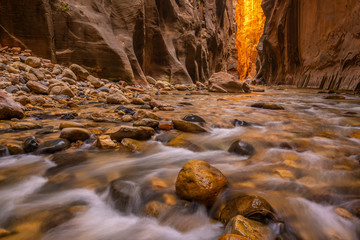Amazing landscape of canyon in Zion National Park, The Narrow
