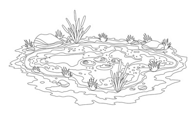 Fototapeta premium Sketch of natural pond outdoor scene. Small blue decorative pond isolated on white, lake plants nature landscape fishing place. Scenery of natural pond with flower bloom. Graphic design