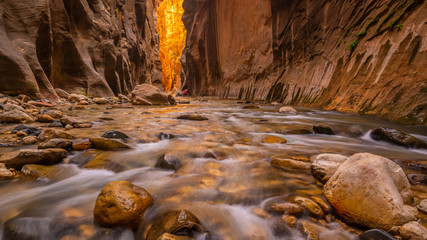Amazing landscape of canyon in Zion National Park, The Narrow