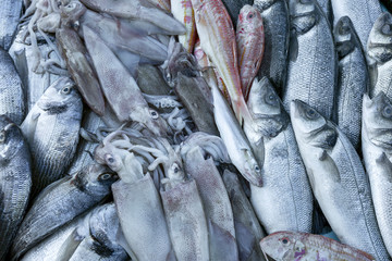 Obraz premium Beautifully laid out fresh fish on a counter on ice. Close-up.