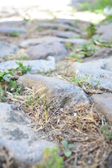 stone pavement in greek village Zeytinlikoy (Agios Theodoros) - turkish aegean island Gokceada
