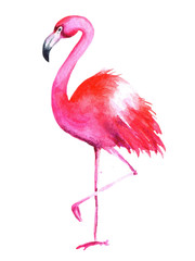 Hand drawn watercolor flamingo
