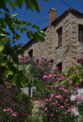 view from greek village Zeytinlikoy (Agios Theodoros) - turkish aegean island Gokceada