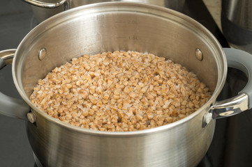 cooking buckwheat porridge in a saucepan