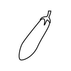 Eggplant icon vector in line style design