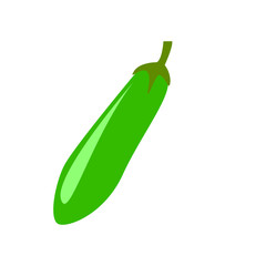 Eggplant icon vector