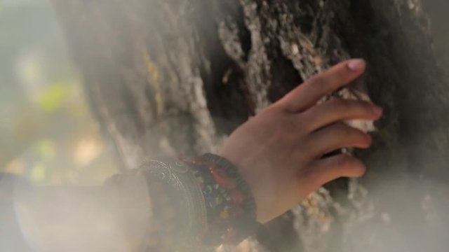 female hand in regard to jewelery bark of an old tree