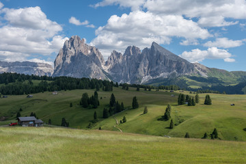 Fototapeta na wymiar Landscapes on Alpe di Siusi with Sassolungo or Langkofel Mountain Group in Background in Summer, South Tyrol, Italy