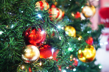 Christmas tree and Christmas decoration