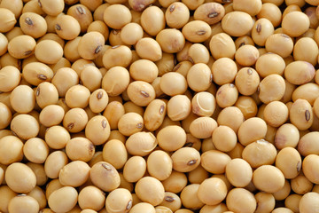 Dry soybean close up of top view,background of food
