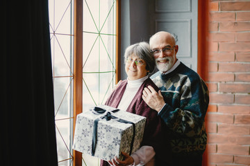 An elegant old couple in a Christmas studio. Grandparents in a cute sweaters. Family standing near window