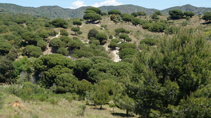 Mountains around Barcelona