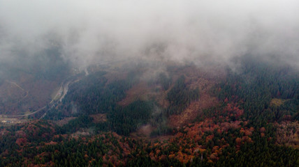 View from a drone to forest, river and village through the fog.