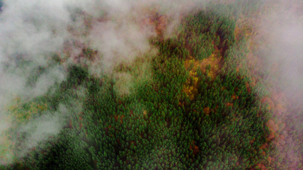 View from a drone to autumn forest through the fog in the Carpathian mountains.